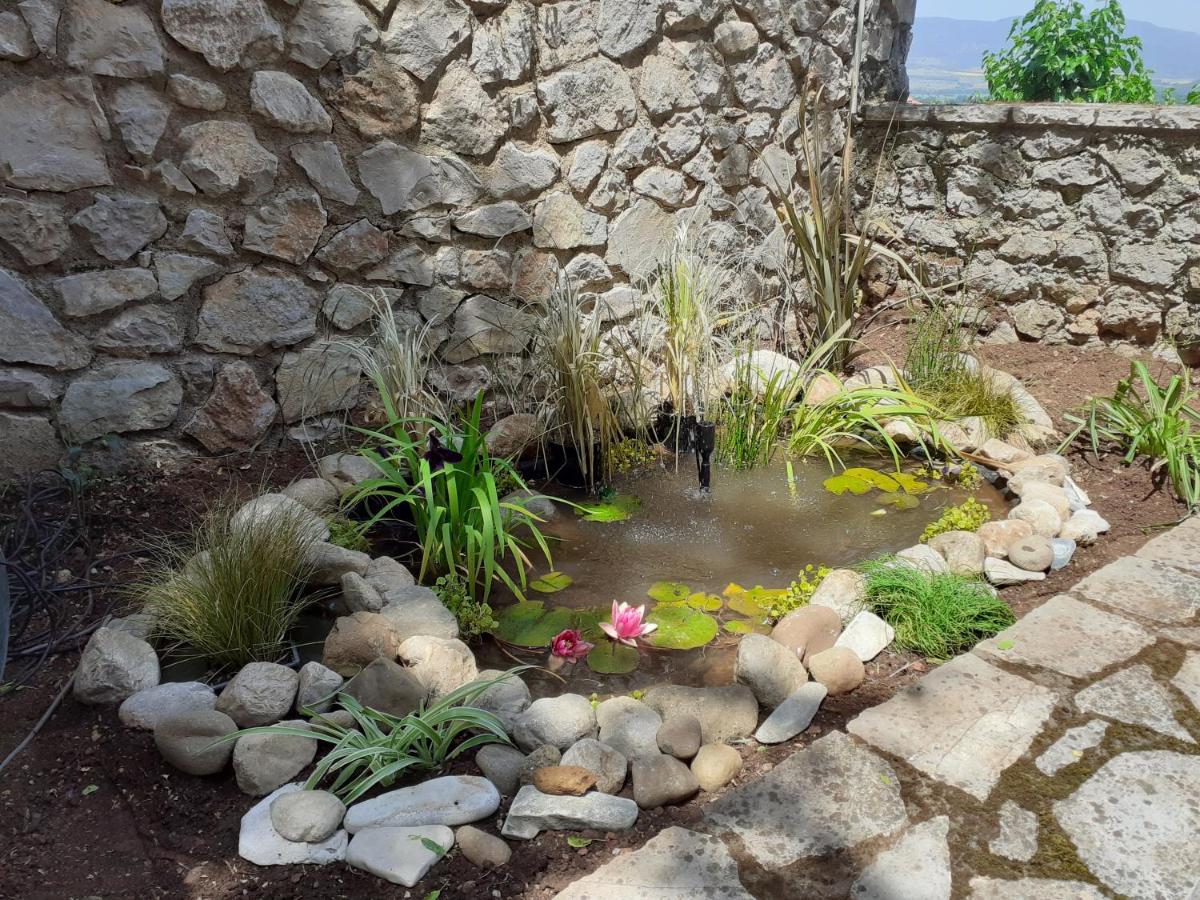 Agoriani Art Suite - 4 Seasons' Natural Living Lílaia Exteriér fotografie